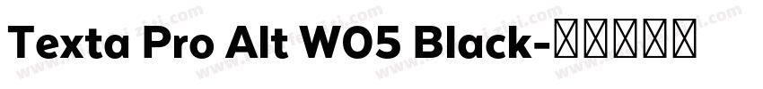 Texta Pro Alt W05 Black字体转换